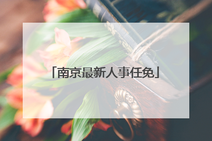 南京最新人事任免